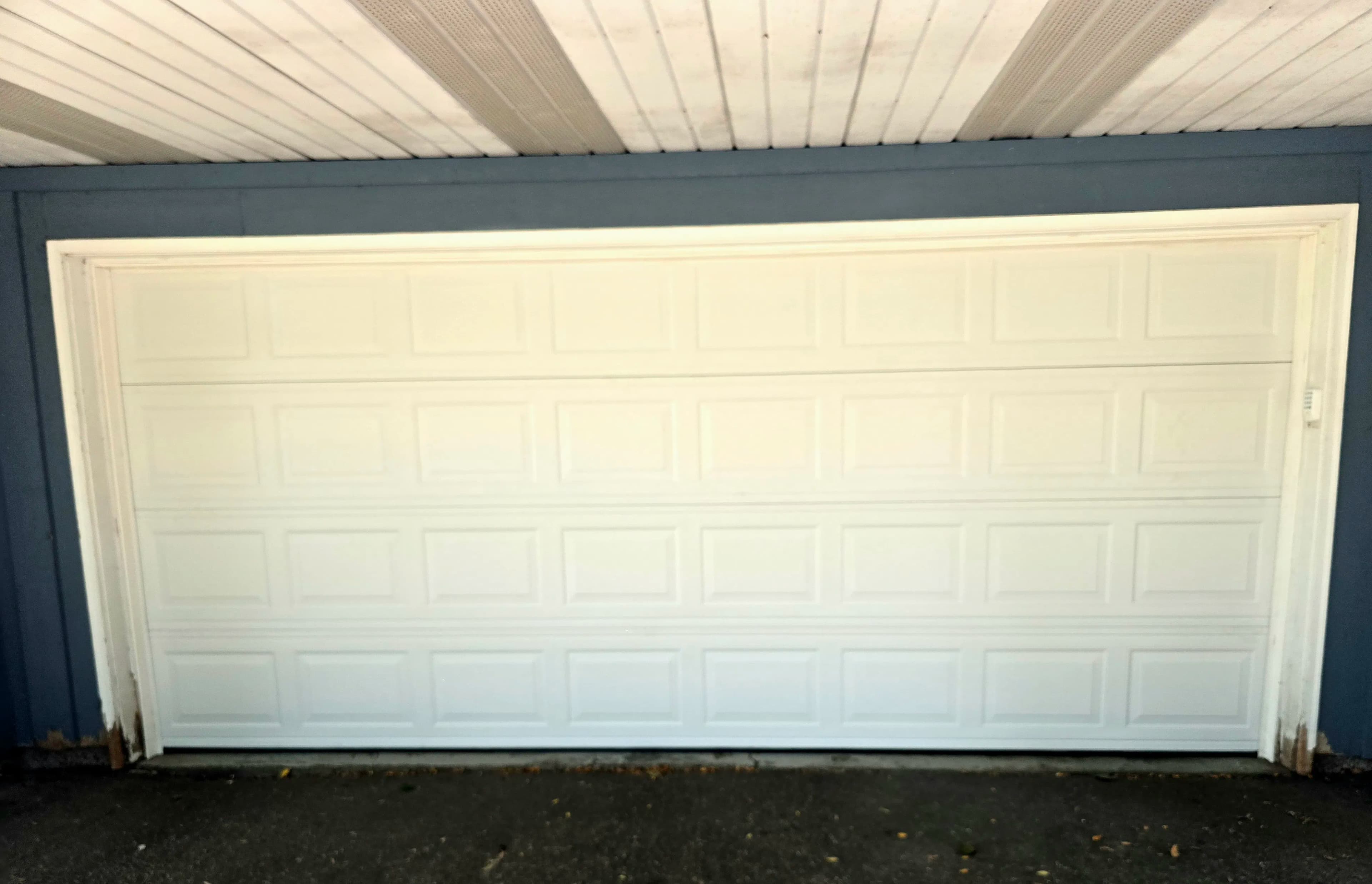 Project New Garage Door and LiftMaster Opener Install in Maple Grove image