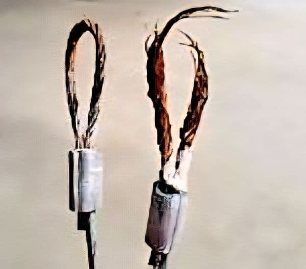 The Silent Threat: Why Rusted Garage Door Cables Are a Serious Safety Risk image